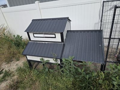 Chickens/Coop/Supplies