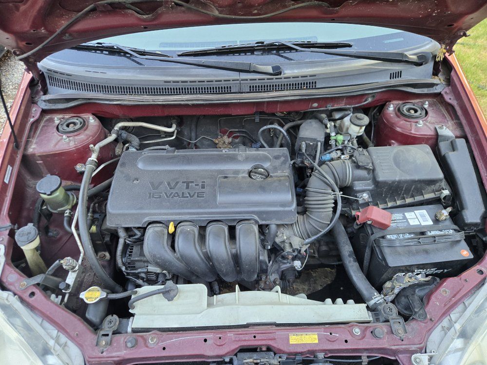 Main image 7