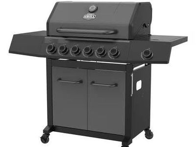 Expert Grill 6-Burner Propane Grill, Graphite