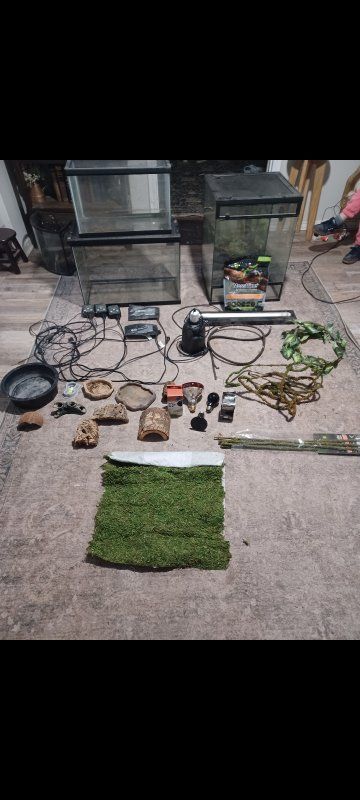 Used Reptile Tank Starter Kit: Terrariums, Heating, Lighting, & Decor