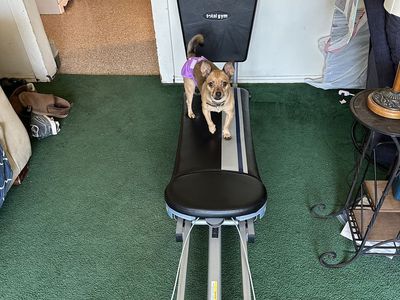 Total Gym