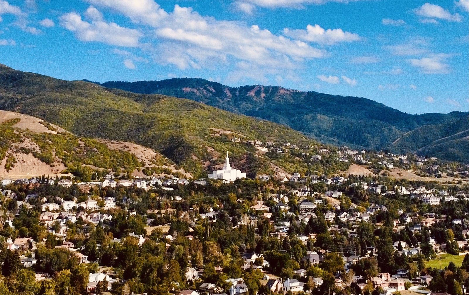 Main image 5