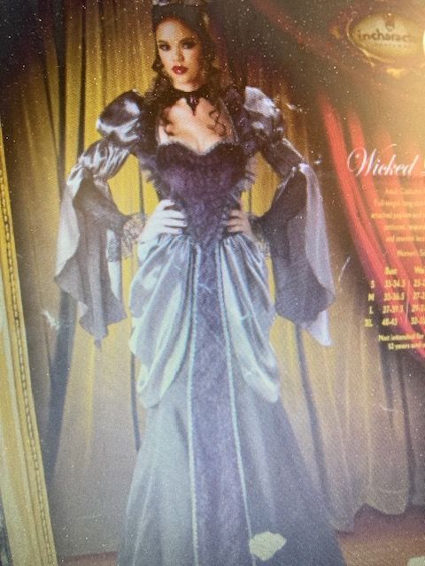 IN CHARACTER Costumes DARK QUEEN   $35