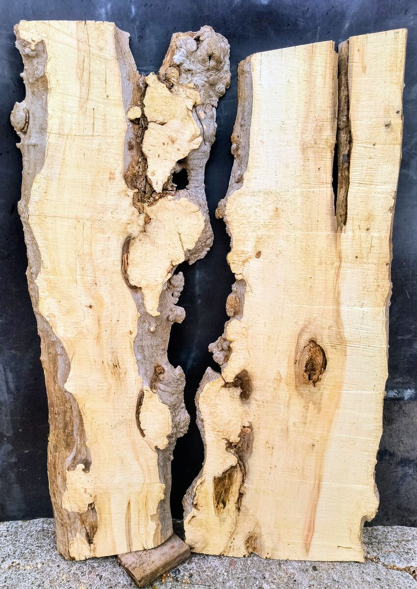 Box elder wood slabs burl/Spalter/worm holes $195 are or $350 for the set