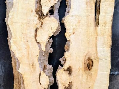 Box elder wood slabs burl/Spalter/worm holes $195 are or $350 for the set