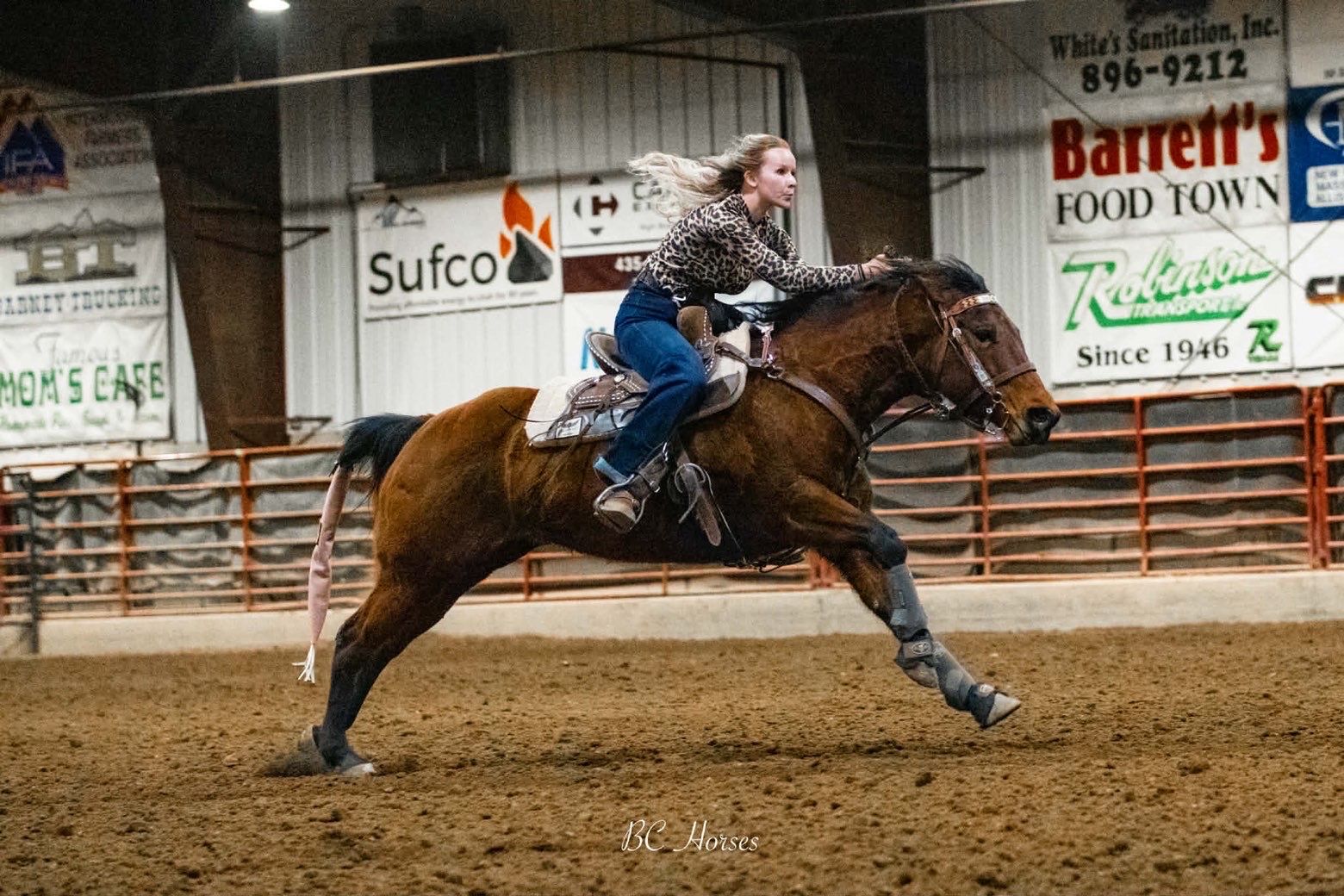 10 Year Old Grade Mare