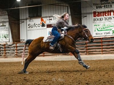 10 Year Old Grade Mare