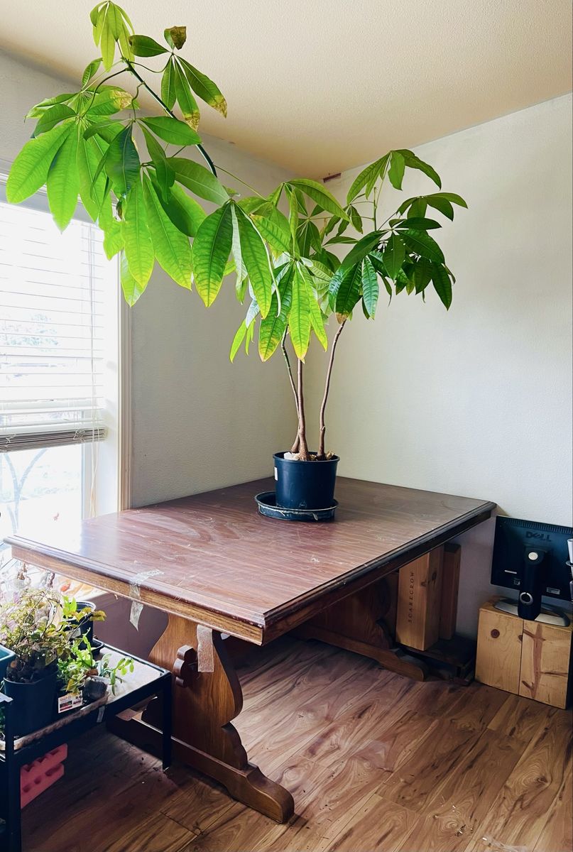 Cochrane Alamo Oak Extension Dining Table Set