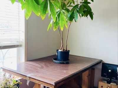 Cochrane Alamo Oak Extension Dining Table Set