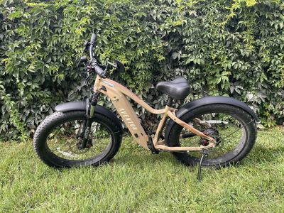 Aventon Aventure 1 Fat Tire E-bike