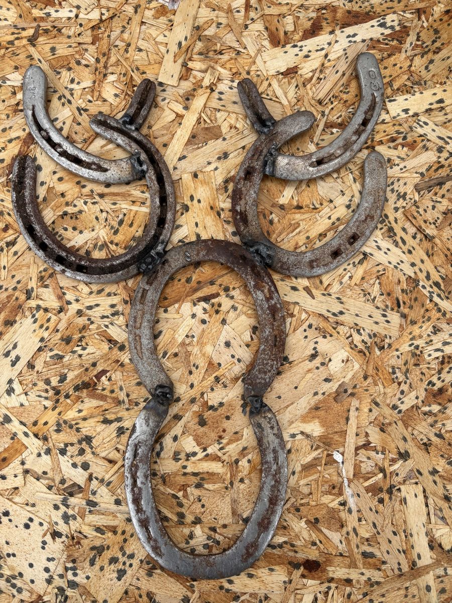 Horseshoe Decor