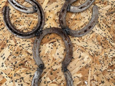 Horseshoe Decor