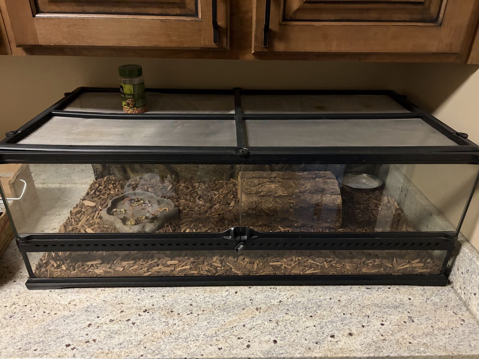 Tortoise Enclosure