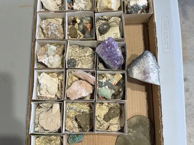 Display cases for minerals, rocks, or crystals.
