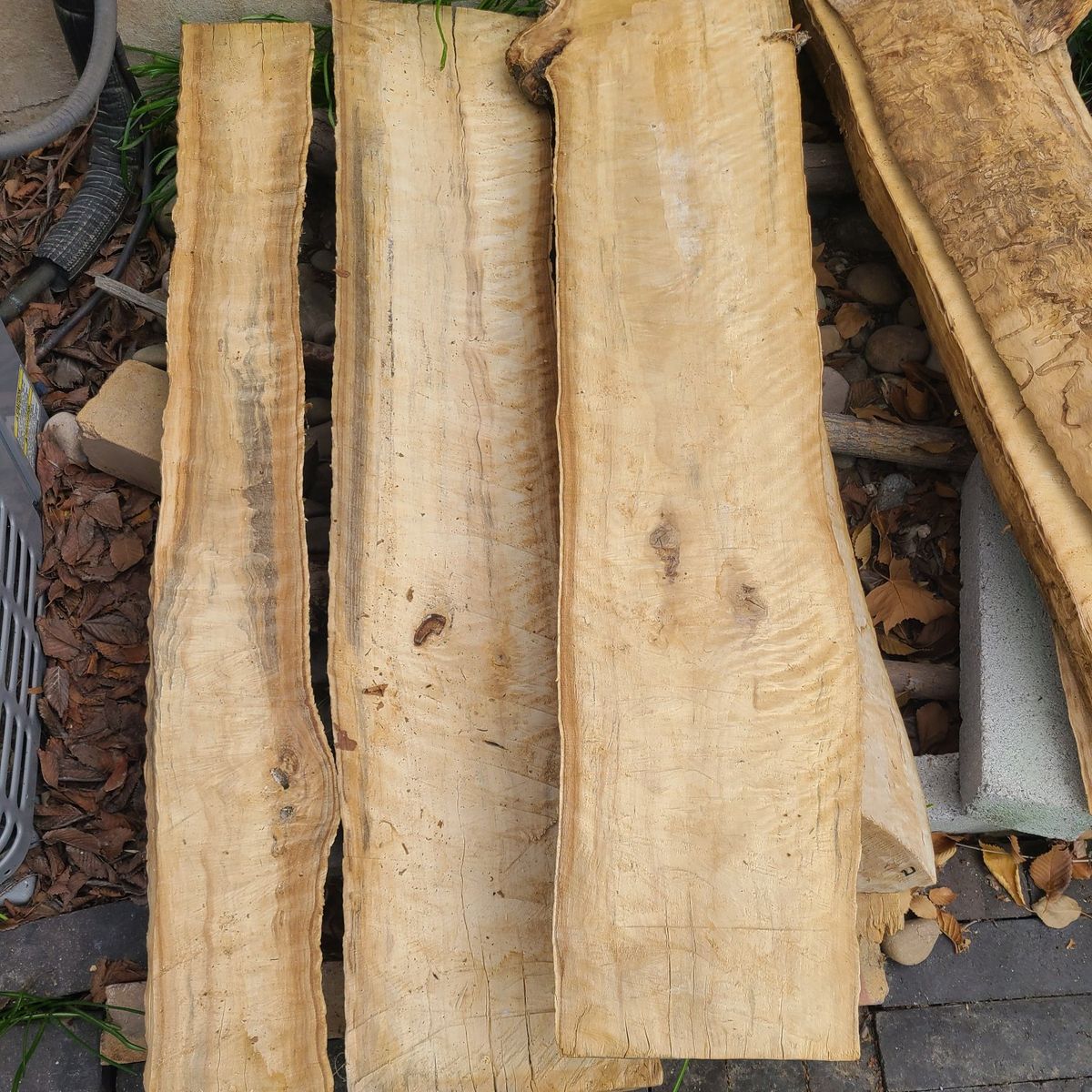 Cottonwood Slabs-(pic 1) $5 Board Foot