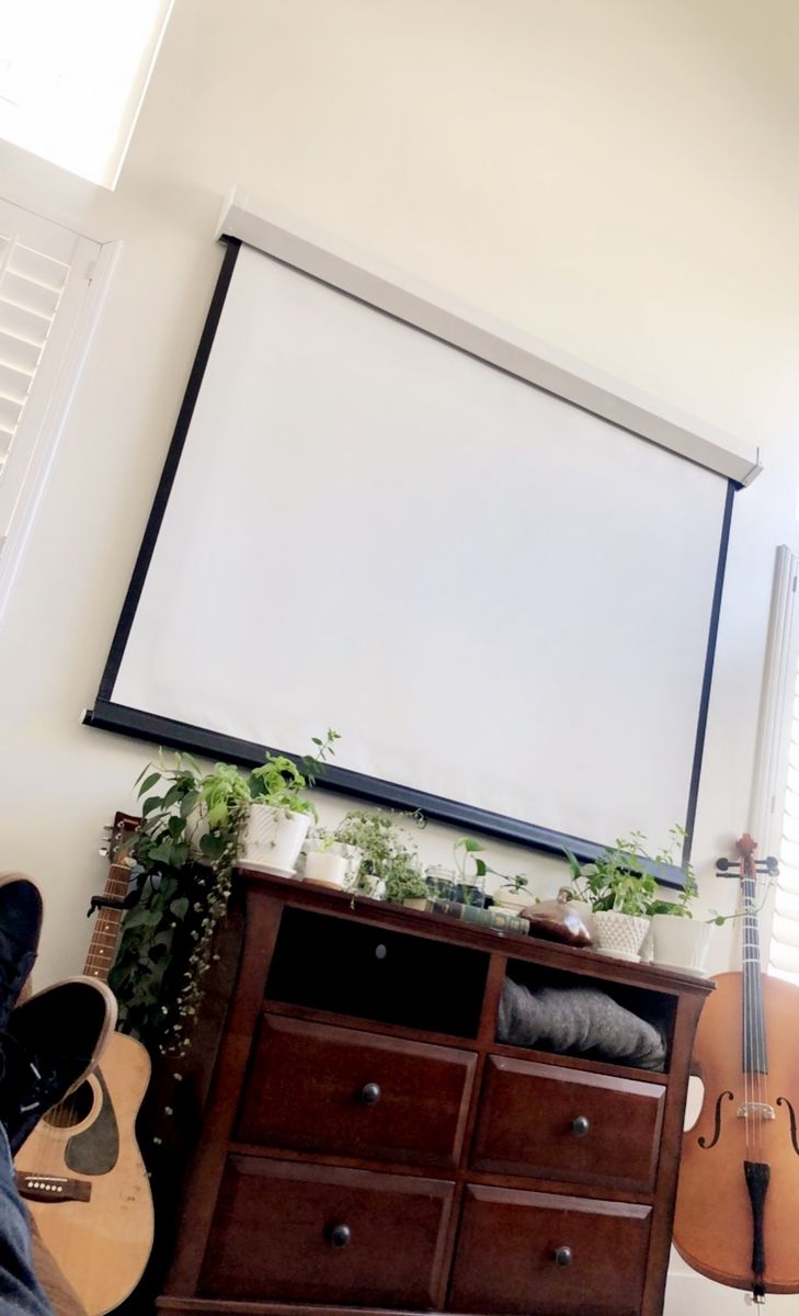 Projector Screen