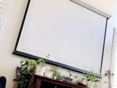 Projector Screen
