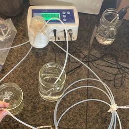 Bluelab pH Controller w/ Dosing Pump – Tested Working
