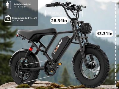 Voltvouge Electric Bike