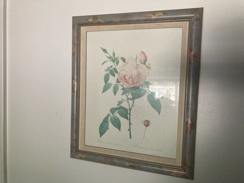 flower Picture