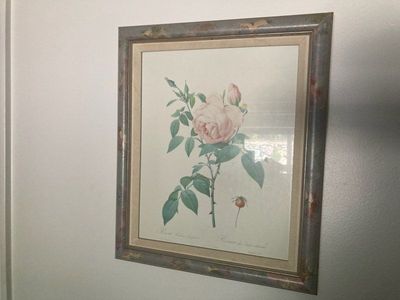 flower Picture