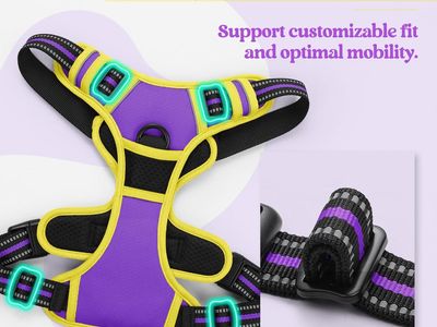 Adjustable Purple Dog Harness with 4 Adjustment Points & Secure Buckles
