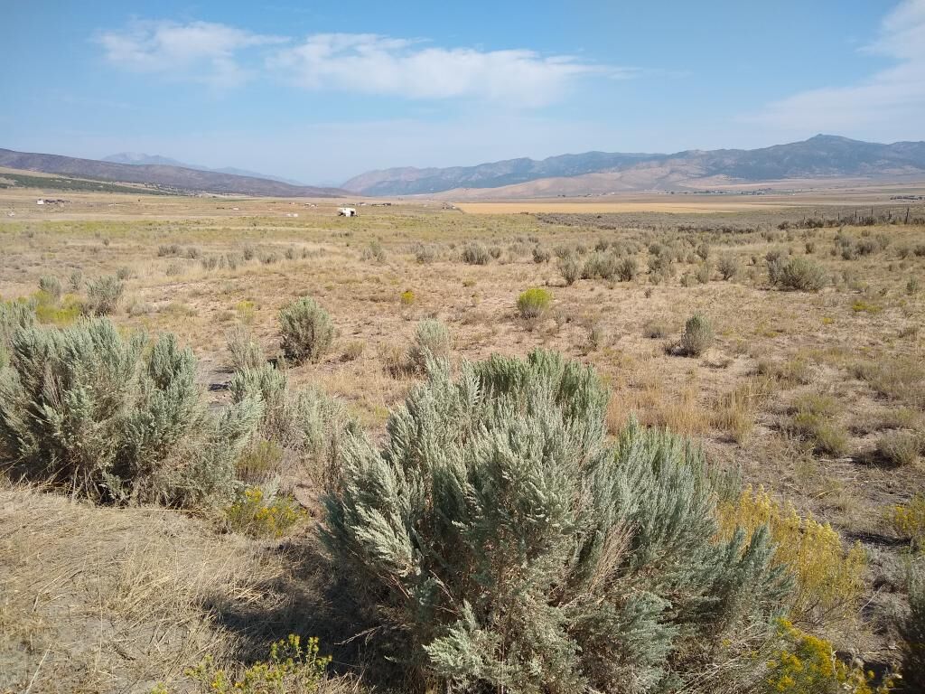 Investment, Agricultural and or Recreational 5+ Acres