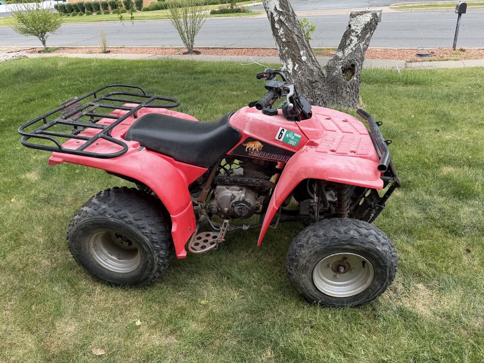 1996 Yamaha Timberwolf 250