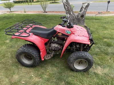 1996 Yamaha Timberwolf 250