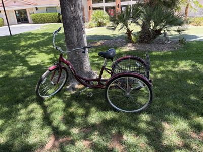 Schwinn tricycle