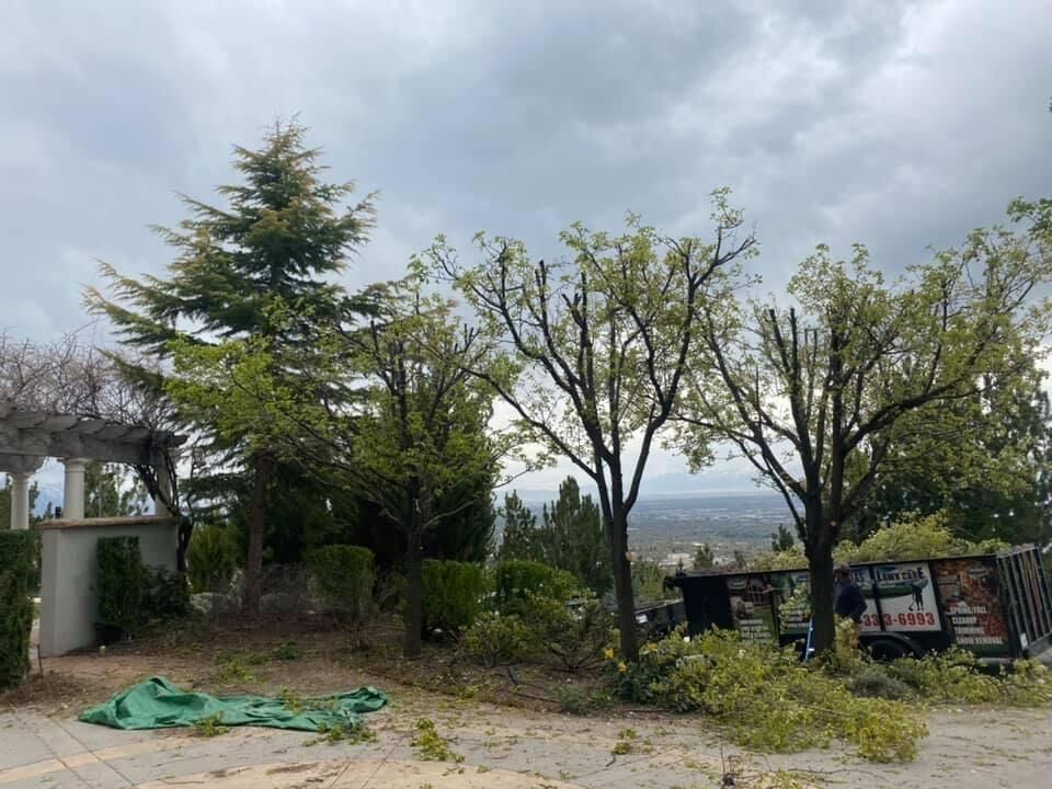 IGLESIAS LAWN CARE AND LANDSCAPING LLC