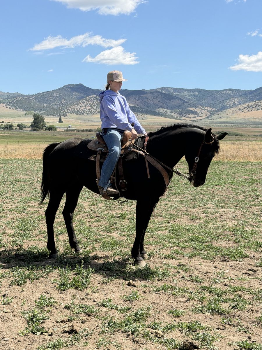 Black Mare