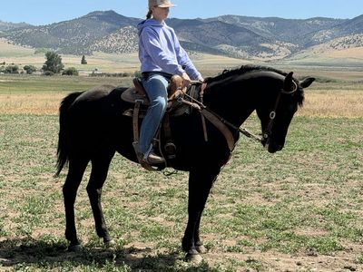 Black Mare