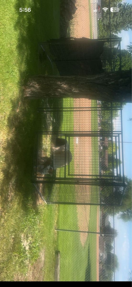Dog kennel