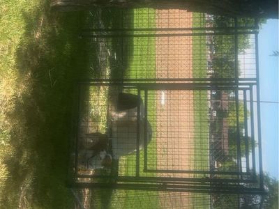 Dog kennel