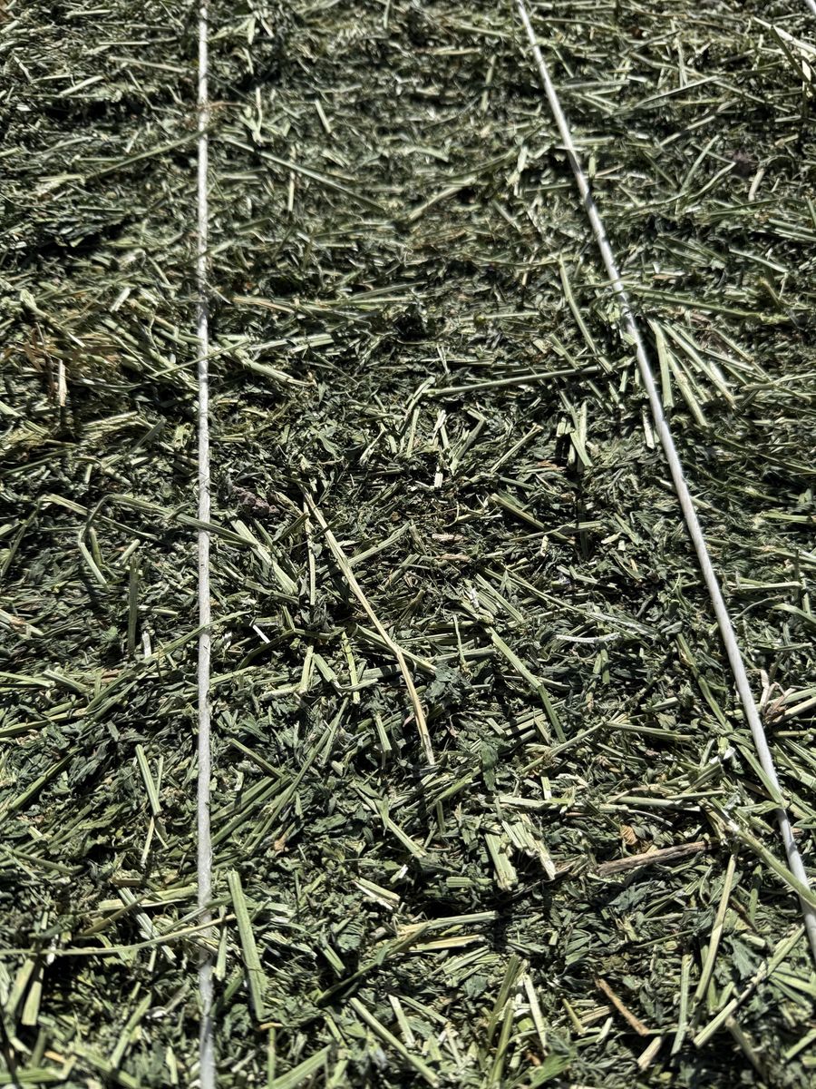 Main image 6