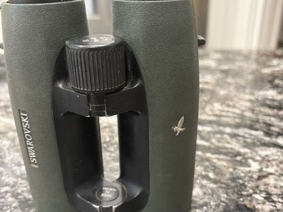 Swarovski 10X42 EL