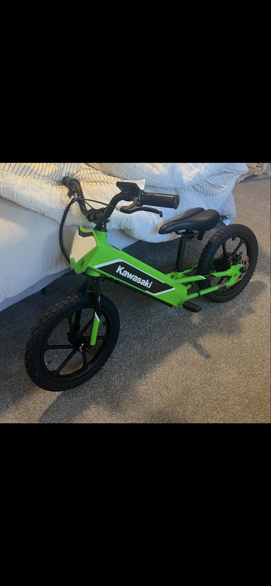 16e Kawasaki Elektrode