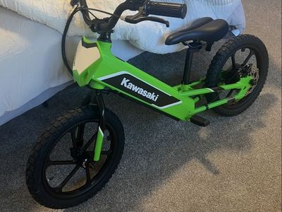 16e Kawasaki Elektrode