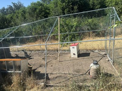 Chicken coop