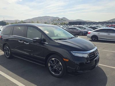 2024 Honda Odyssey Elite