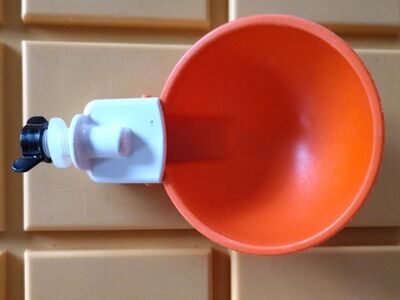 52 automatic chicken watering cups