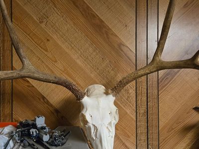 European mount 3 point