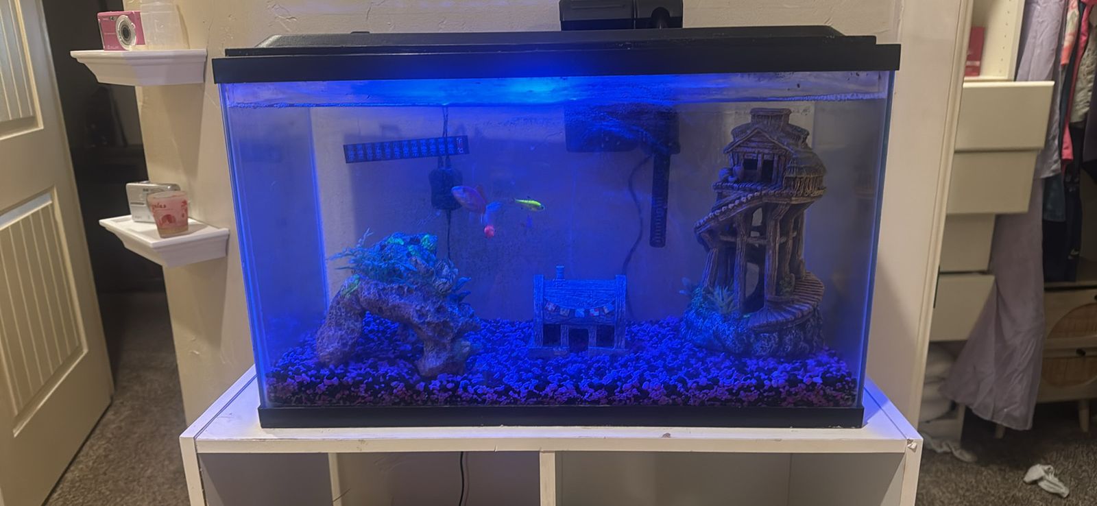 10-Gallon Rectangular Fish Tank Aquarium with Filter and Decorations, Good Condition