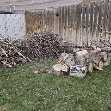 FREE Firewood