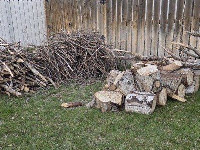 FREE Firewood