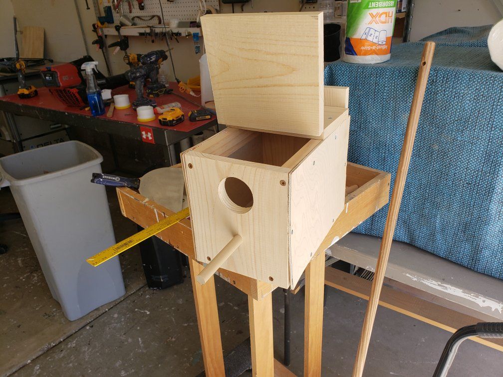bird playpen