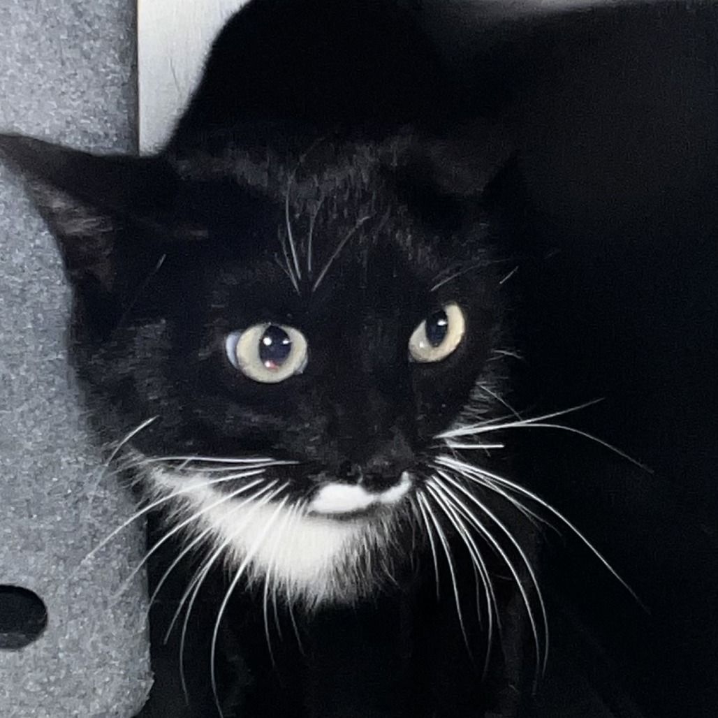 Main image 2