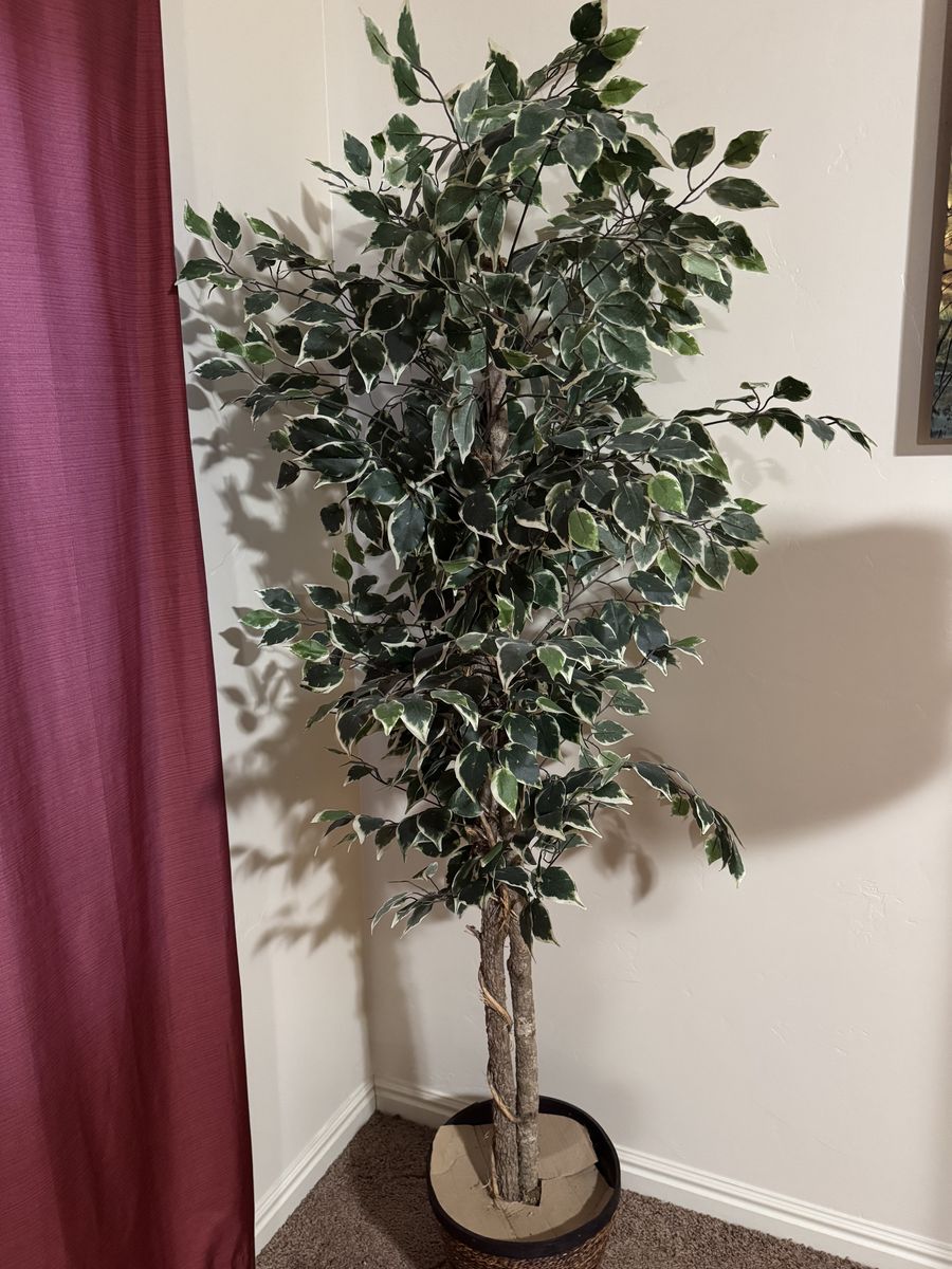 Fake Tree/Plant for Inside