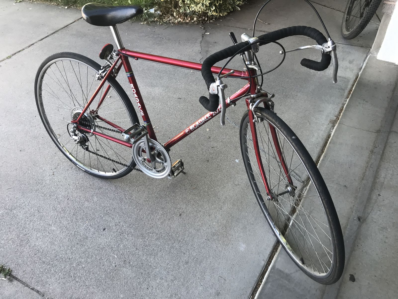 Vintage Japanese Maruishi Road Ace Bike